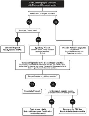 A Novel Approach to New-Onset Hemiplegic Shoulder Pain With Decreased Range of Motion Using Targeted Diagnostic Nerve Blocks: The ViVe Algorithm